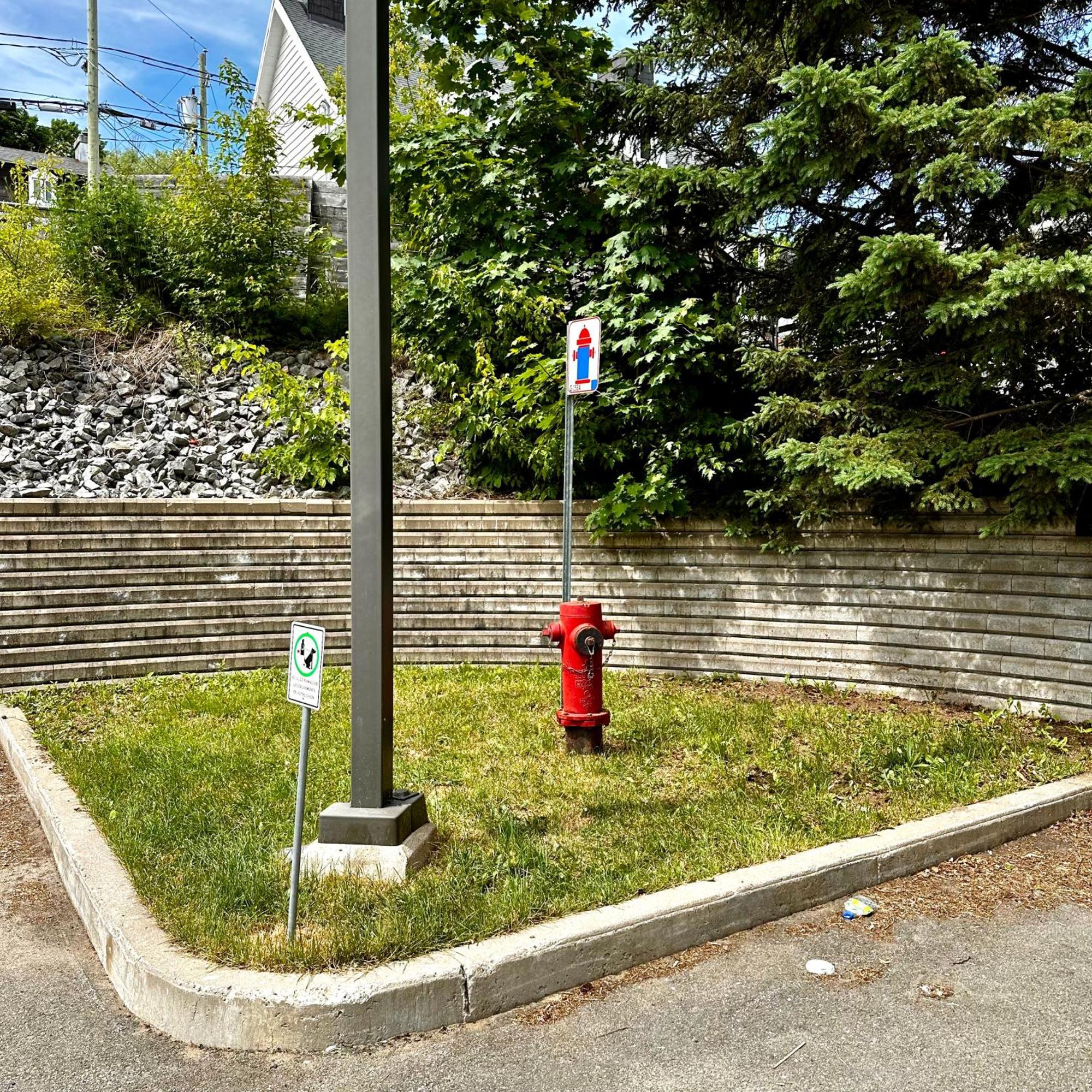 Initial - Cavalier - Chutes-Montmorency Boischatel Экстерьер фото
